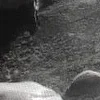 🕸️ Эмодзи «curseweb» для Telegram