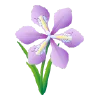 🌸 Эмодзи «3D рандом - 3» для Telegram
