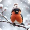 🦜 Эмодзи «Милые Зимние Животные» для Telegram