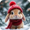 🐇 Эмодзи «Милые Зимние Животные» для Telegram