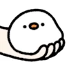 🤗 Эмодзи «cute duck» для Telegram