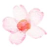 🌸 Эмодзи «flowers - цветочки» для Telegram