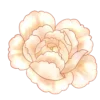 Эмодзи flowers - цветочки для Telegram — скачать