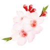 🌸 Эмодзи «flowers - цветочки» для Telegram