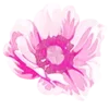 🌸 Эмодзи «flowers - цветочки» для Telegram