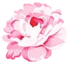 🌸 Эмодзи «flowers - цветочки» для Telegram