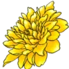 🌸 Эмодзи «flowers - цветочки» для Telegram