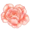 🌸 Эмодзи «flowers - цветочки» для Telegram