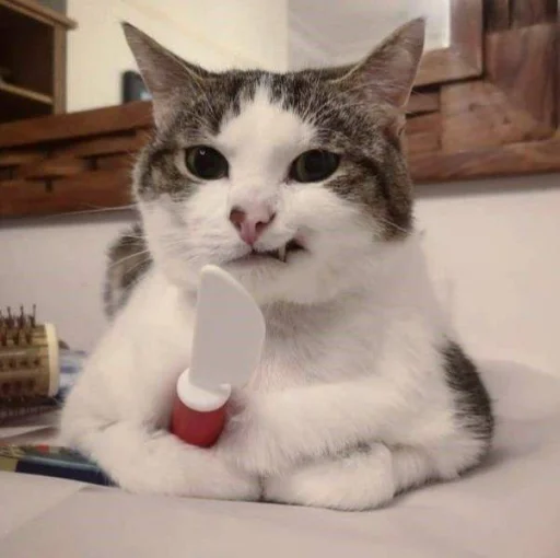 🔪 Стикер «cutecats 3» для Telegram