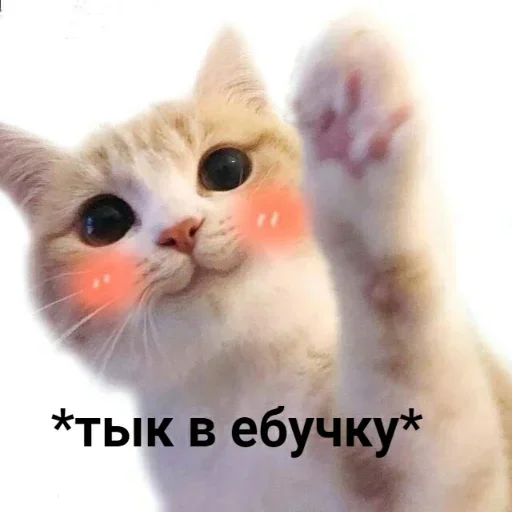 🐾 Стикер «ᴥ» для Telegram