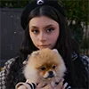 🐶 Эмодзи «Cutedorik» для Telegram
