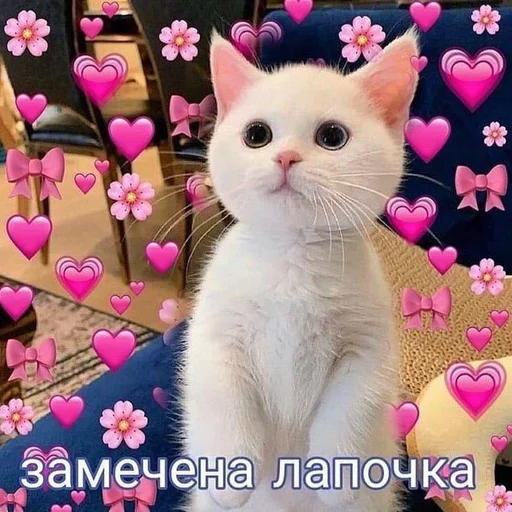 Стикерпак ♡︎ для Telegram — скачать