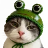 🐸 Эмодзи «Милота» для Telegram