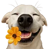 🌼 Эмодзи «Милота» для Telegram