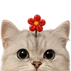 🤗 Эмодзи «Милота» для Telegram
