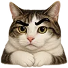 🫤 Эмодзи «Милота» для Telegram