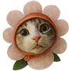 Эмодзи Милота для Telegram — скачать