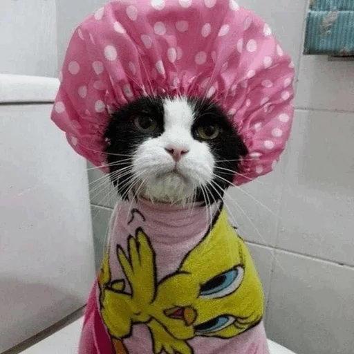 😐 Стикер «Cuteness Overload» для Telegram