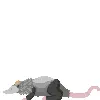 🐁 Эмодзи «Опоссумы» для Telegram