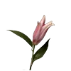 🌸 Эмодзи «Cuties» для Telegram