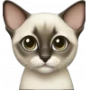 🤩 Эмодзи «Cycuaaa» для Telegram