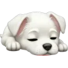🤩 Эмодзи «Cycuaaa» для Telegram
