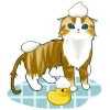 🧼 Эмодзи «Нян котики» для Telegram