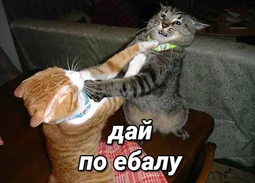 👊 Стикер «daidenuk» для Telegram