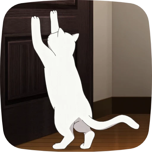 🐈 Стикер «Danjoru» для Telegram