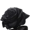🥀 Эмодзи «𓏲 𝒹𝒶𝓇𝓀» для Telegram
