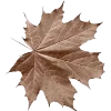 🍁 Эмодзи «Dark autumn vibe #vibe #autumn» для Telegram
