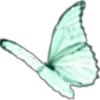 🦋 Эмодзи «Бабочки» для Telegram