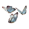 🌟 Эмодзи «Бабочки» для Telegram
