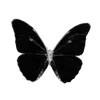 🌟 Эмодзи «Бабочки» для Telegram