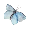 🌟 Эмодзи «Бабочки» для Telegram