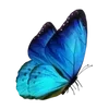 🌟 Эмодзи «Бабочки» для Telegram