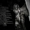🤩 Эмодзи «Dark Tg» для Telegram