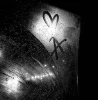 🤩 Эмодзи «Dark Tg» для Telegram