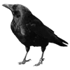 Эмодзи Gothic для Telegram — скачать