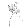 🌟 Эмодзи «Gothic» для Telegram