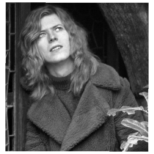 David Bowie
