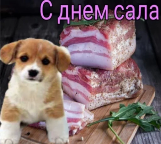 🥩 Стикер «С днём» для Telegram