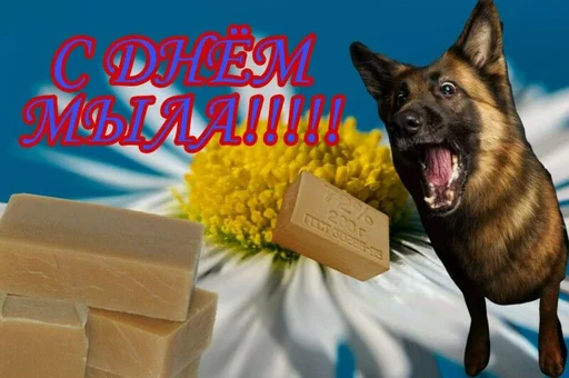 🧼 Стикер «С днём» для Telegram