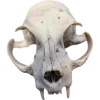 ❤️ Эмодзи «Demon core» для Telegram