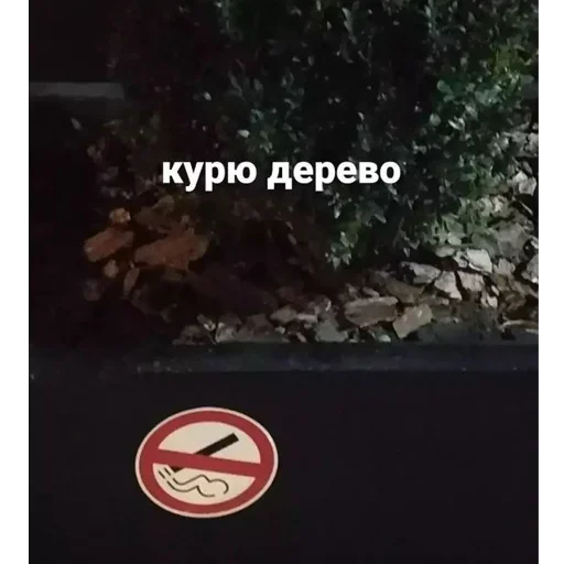 🚬 Стикер «Мечтай» для Telegram