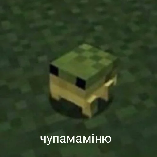 🤪 Стикер «Життєво -_-» для Telegram