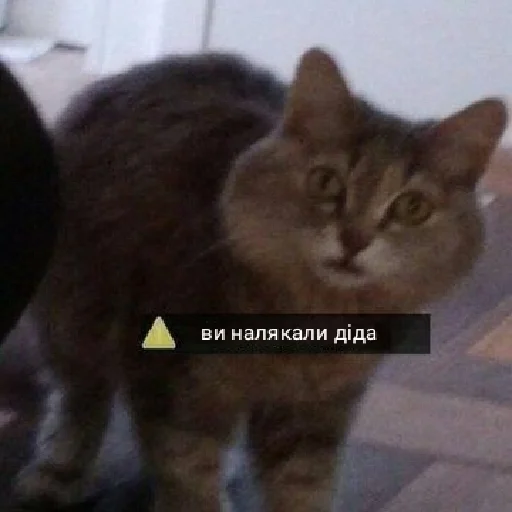 😟 Стикер «Життєво -_-» для Telegram