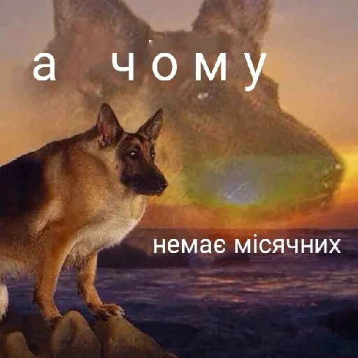 😑 Стикер «Життєво -_-» для Telegram