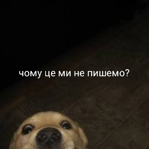 🤔 Стикер «Життєво -_-» для Telegram