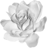 🤍 Эмодзи «ఎ Ɗᥱᥲᴛɦ ໒» для Telegram
